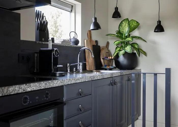 Vakantiehuis Loft 48 *